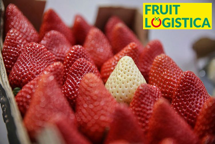 FruitLogistica